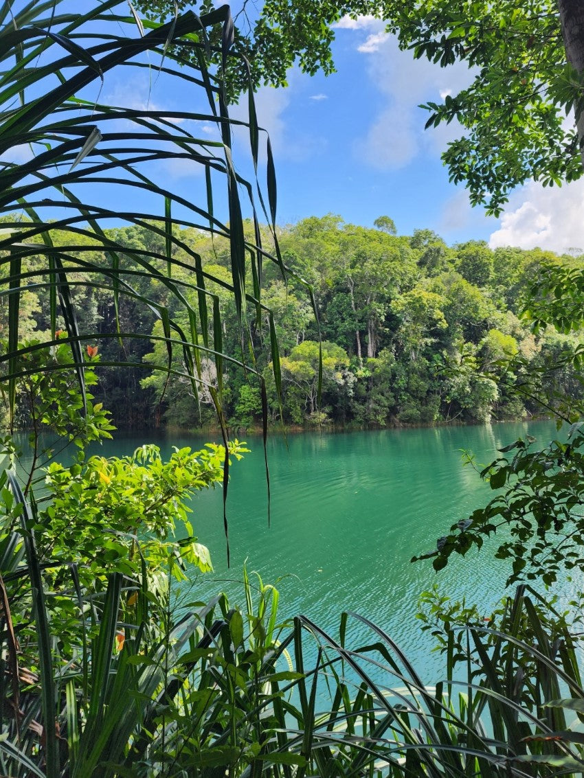Lake Eacham, Lemongrass & Lime Handmade Soap