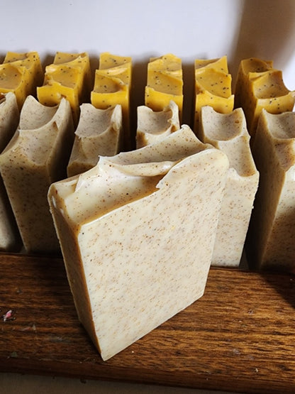 Citrus & Walnut Shell Exfoliating Bar